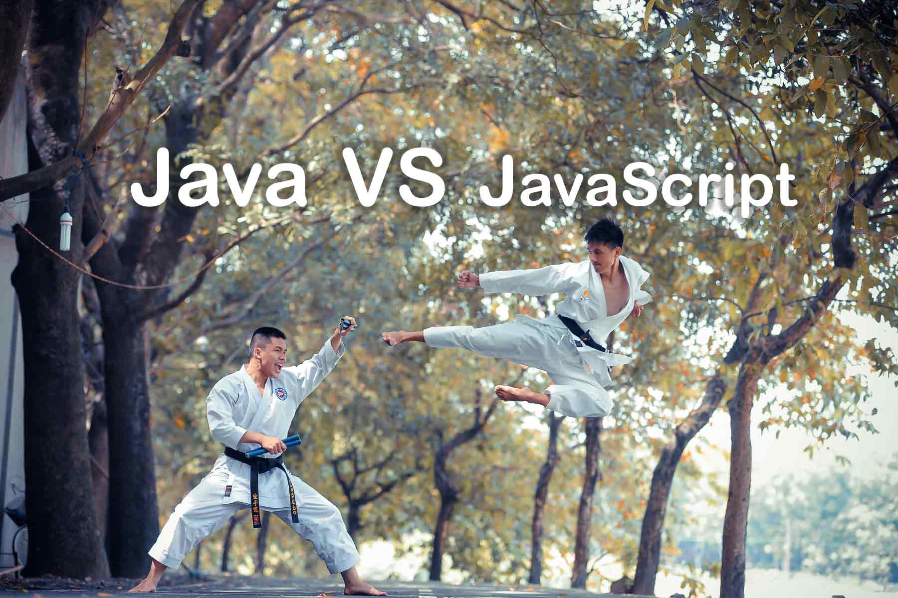少儿编程之编程语言选择：Java 与 JavaScript 详细比较