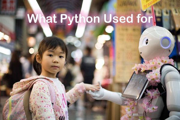 少儿编程之编程语言介绍：Python 编程应用情况详细介绍
